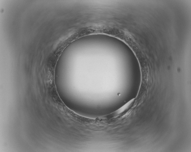 X0000059091253200510172046