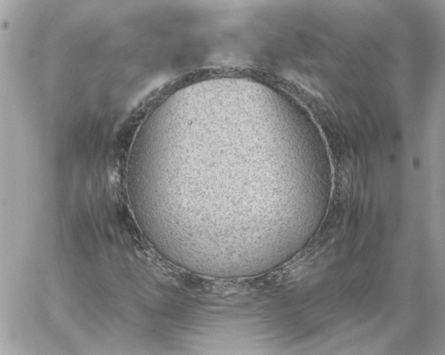 X0000059091254200510172046