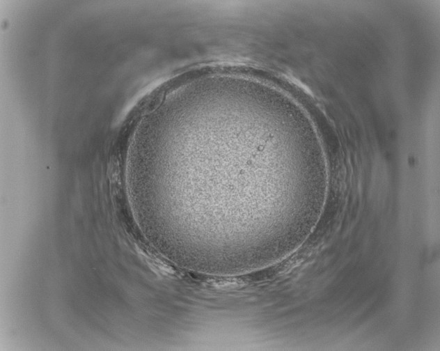 X0000059091255200510172046