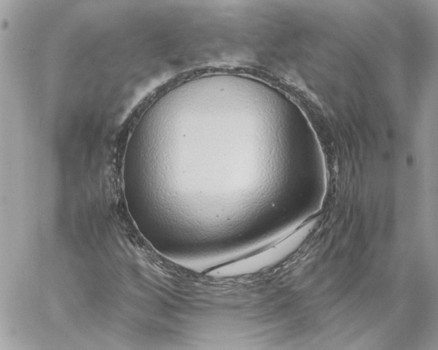 X0000059091256200510172046