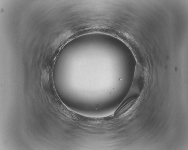 X0000059091257200510172046