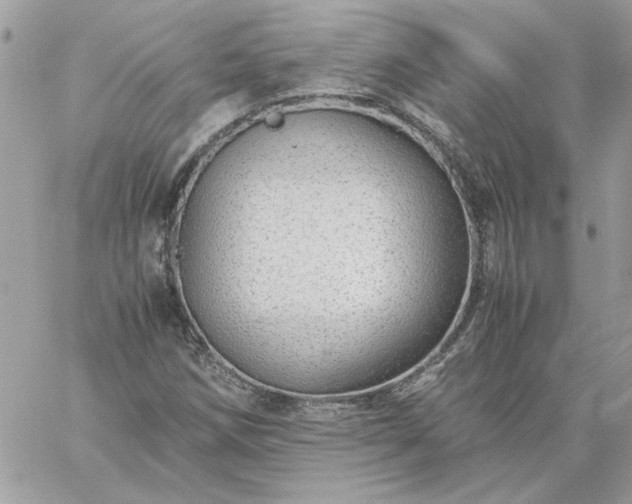 X0000059091258200510172046