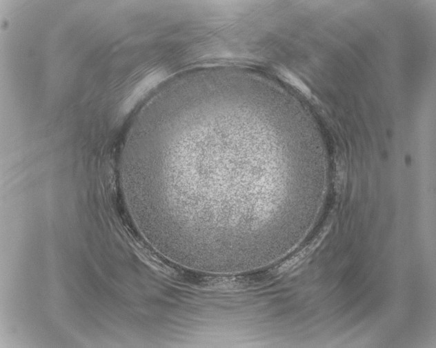 X0000059091259200510172046