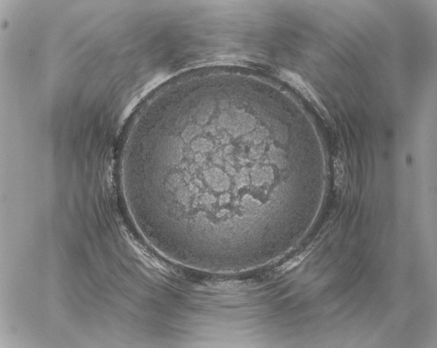 X0000059091260200510172046