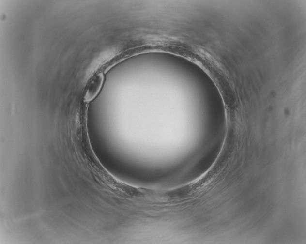 X0000059091261200510172046