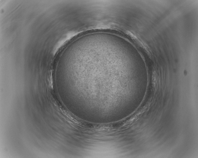 X0000059091262200510172046