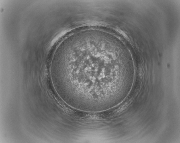 X0000059091263200510172046