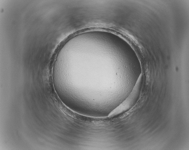 X0000059091264200510172046