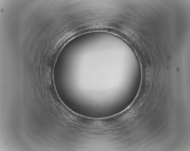 X0000059091265200510172046