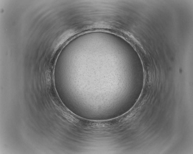 X0000059091266200510172046