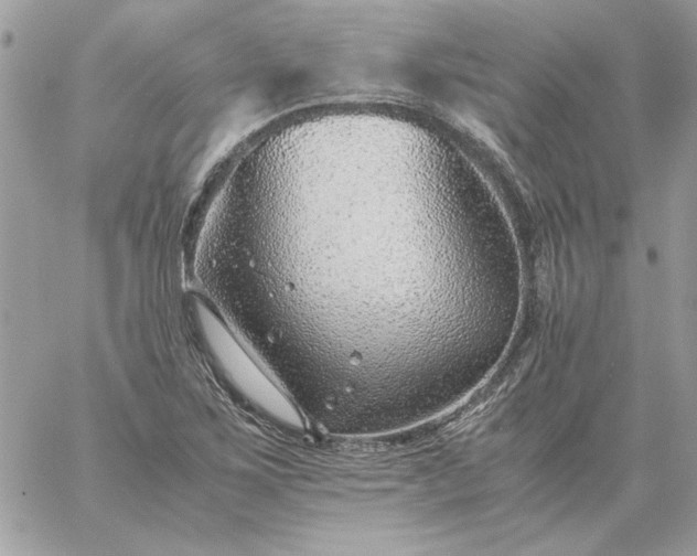 X0000059091267200510172046