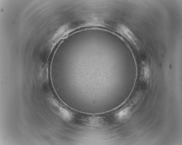 X0000059091268200510172046