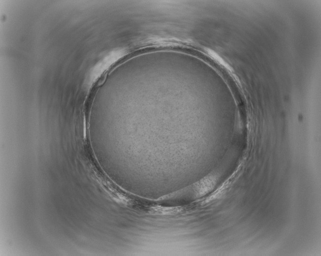 X0000059091269200510172046