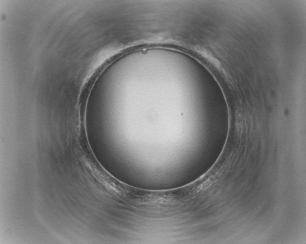 X0000059091270200510172046