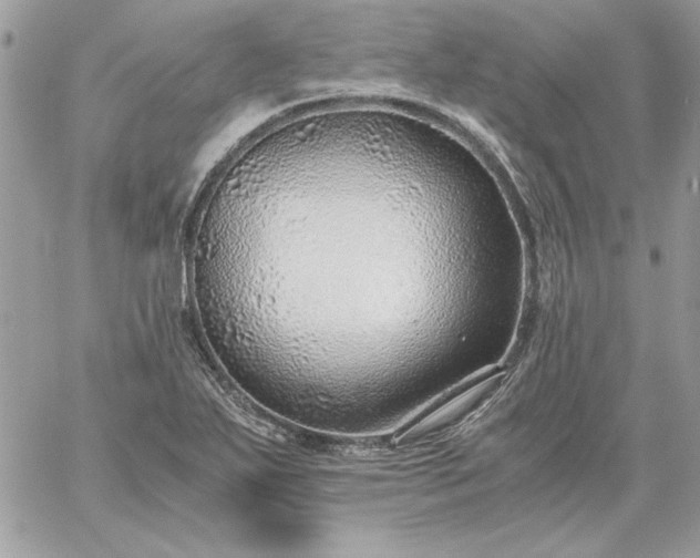 X0000059091271200510172046