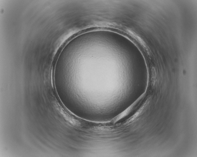 X0000059091272200510172046