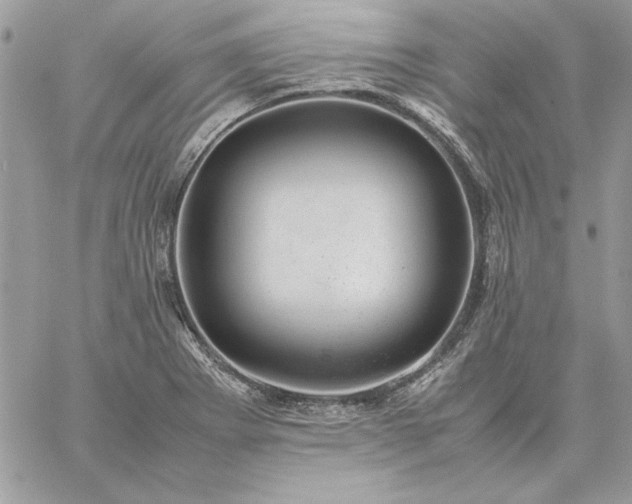 X0000059091273200510172046