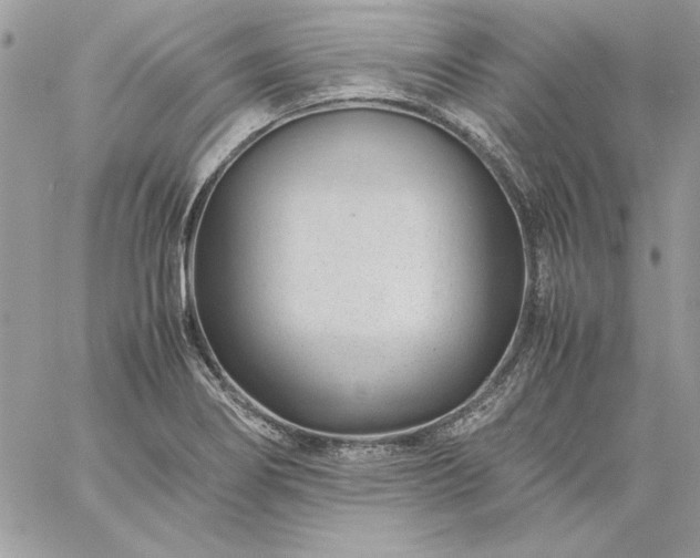 X0000059091274200510172045