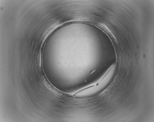 X0000059091276200510172045