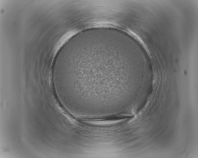 X0000059091277200510172045