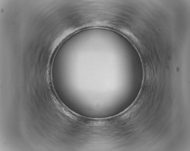 X0000059091278200510172045