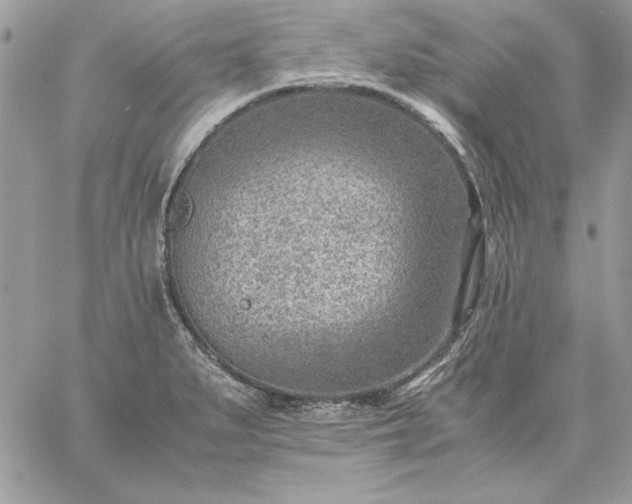 X0000059091279200510172045