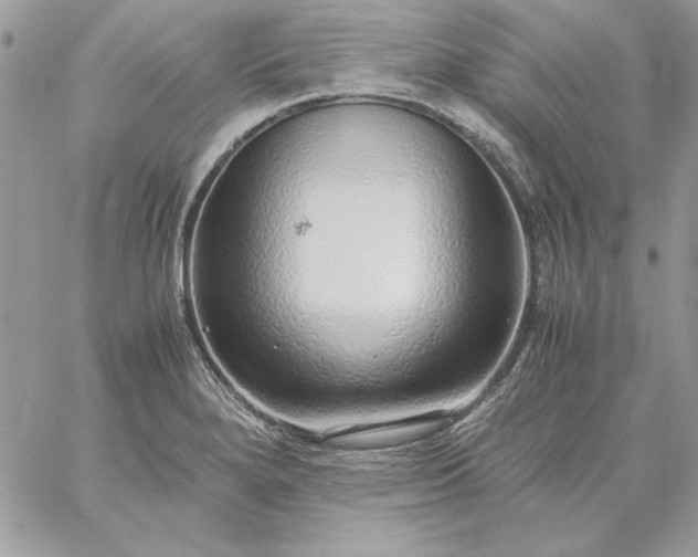 X0000059091280200510172045