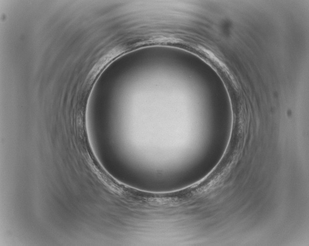 X0000059091281200510172045