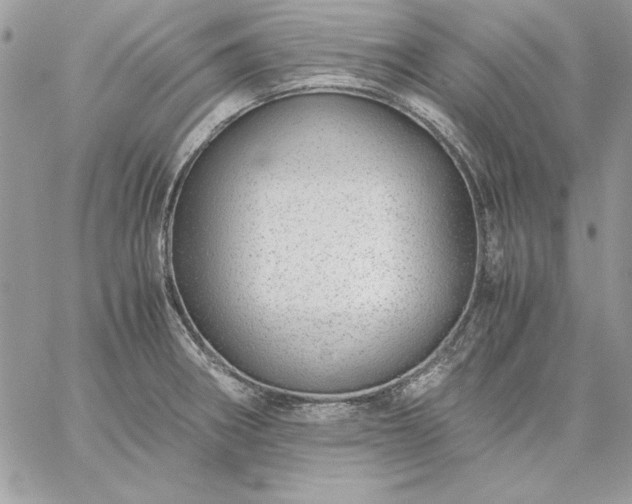 X0000059091282200510172045