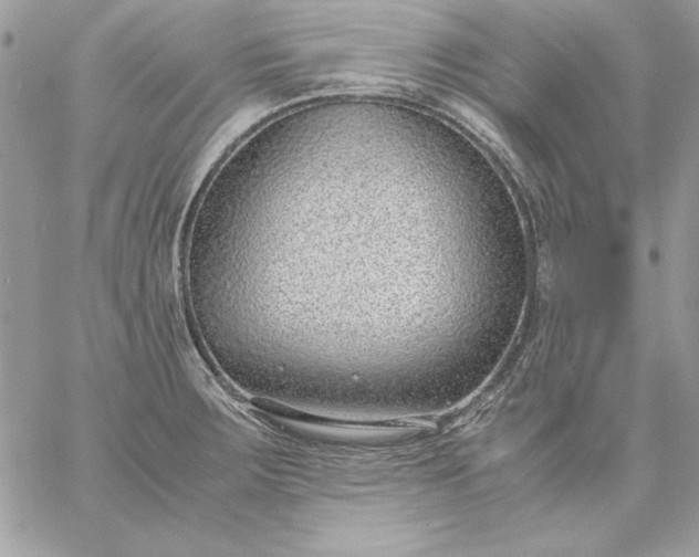 X0000059091283200510172045