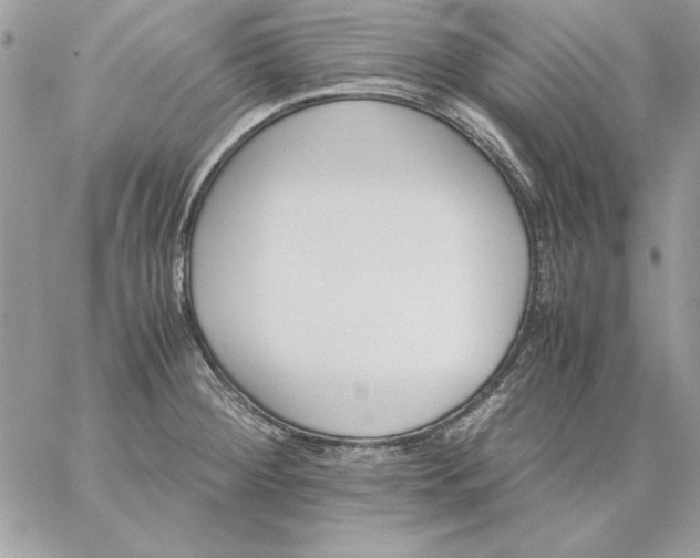 X0000059091284200510172045