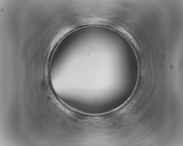 X0000059091285200510172045