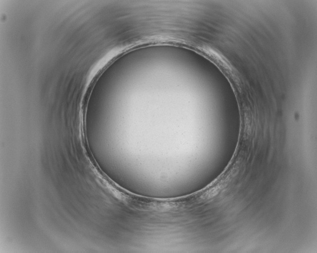 X0000059091286200510172045