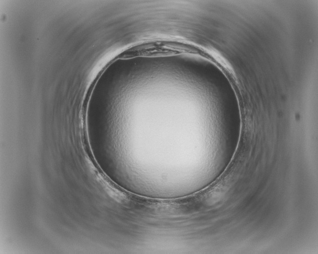 X0000059091287200510172045