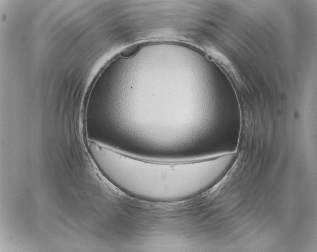 X0000059091288200510172045