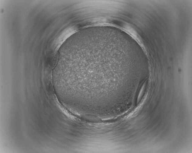 X0000059091289200510172045