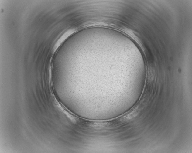 X0000059091290200510172045