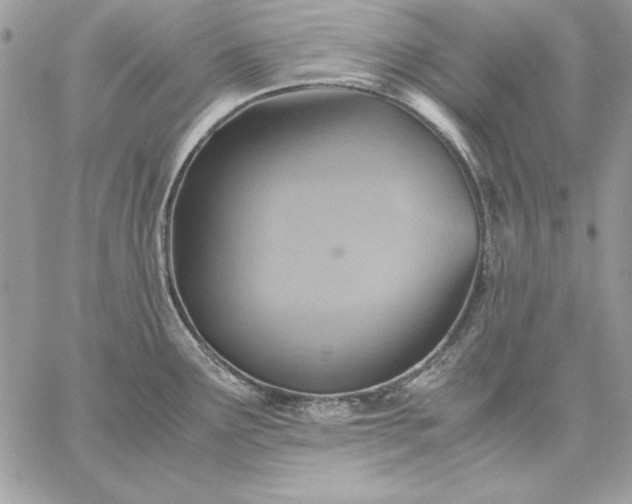 X0000059091291200510172045