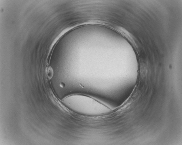 X0000059091292200510172045