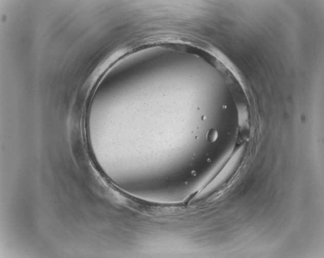 X0000059091293200510172045