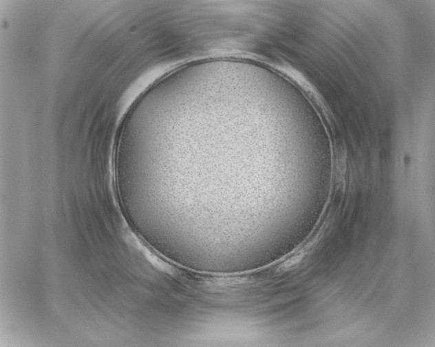 X0000059091294200510172045