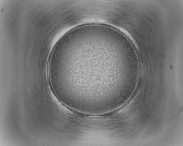 X0000059091295200510172045