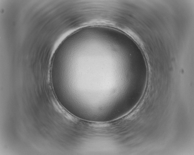 X0000059091296200510172045