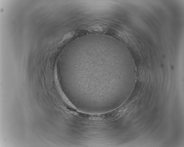 X0000059091297200510172044