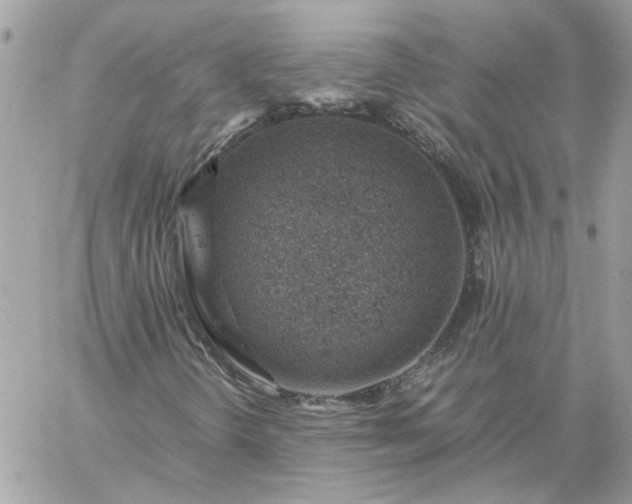 X0000059091298200510172044