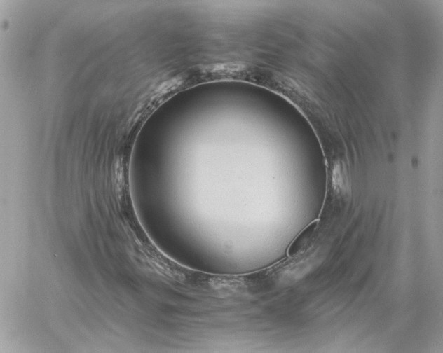 X0000059091299200510172044