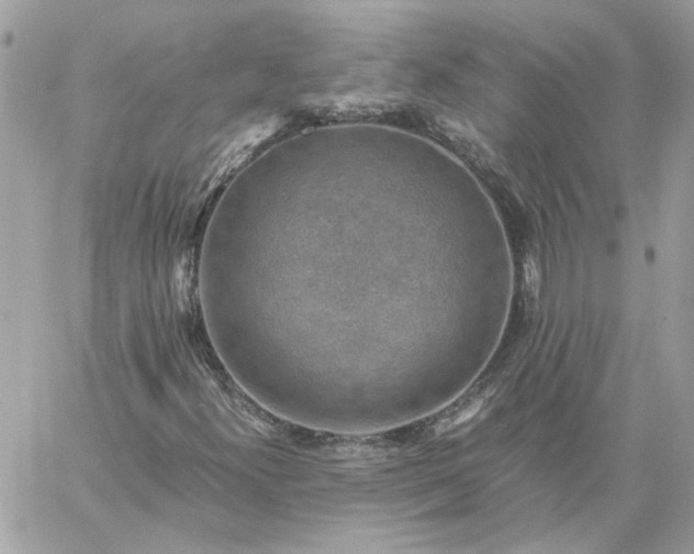 X0000059091300200510172044