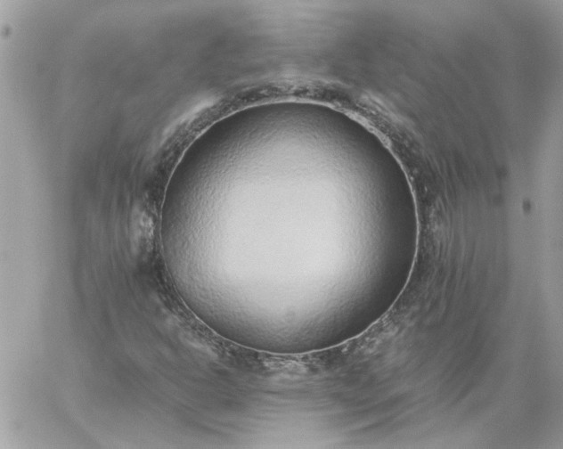 X0000059091302200510172044