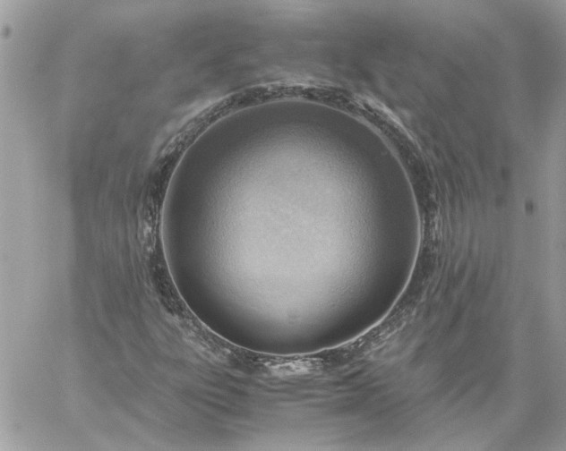 X0000059091303200510172044