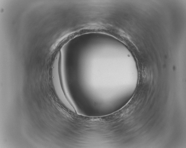 X0000059091304200510172044